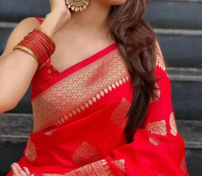Saree Red banarsi saree